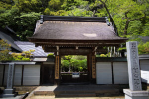 室生寺のシャクナゲの時期に合わせて撮影に行ってきた