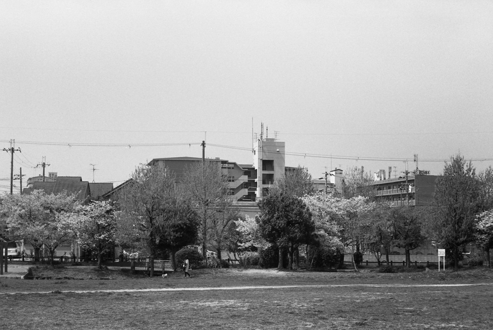 土塔町公園