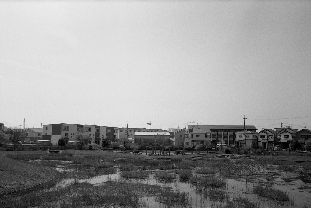 土塔町公園の池