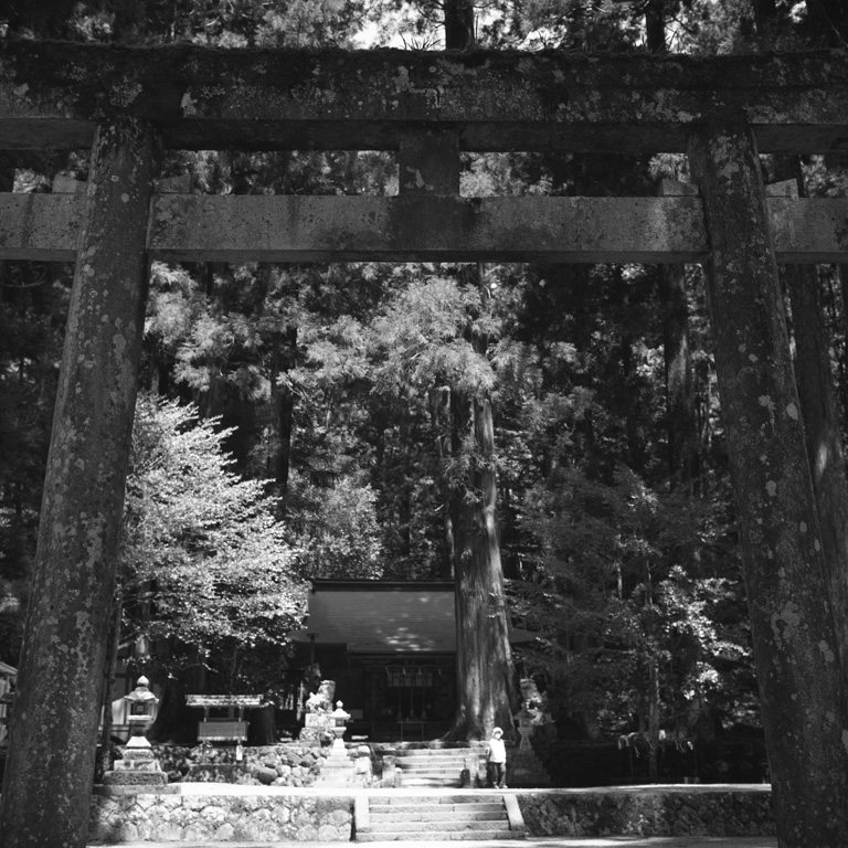 龍穴神社の鳥居