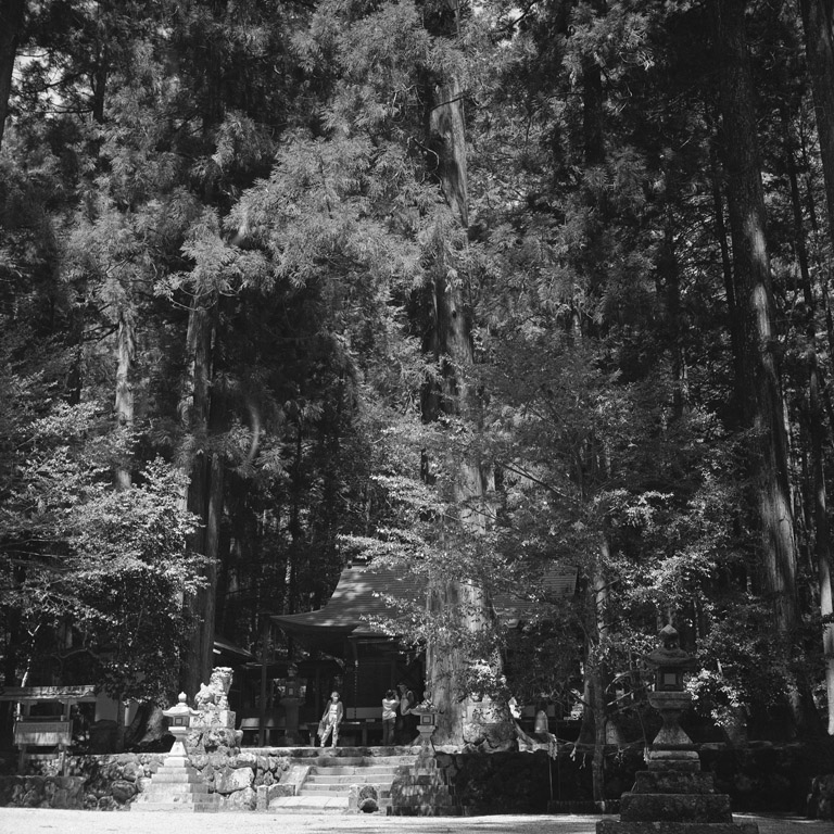 龍穴神社の風景