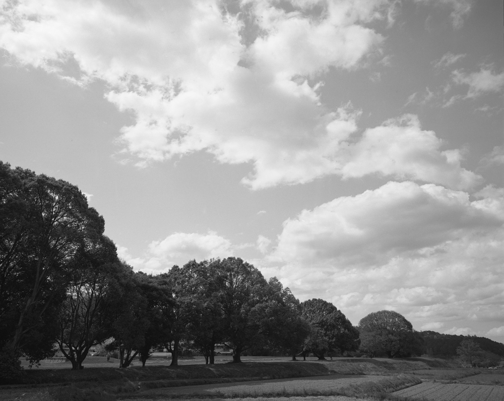 川原寺跡の風景3