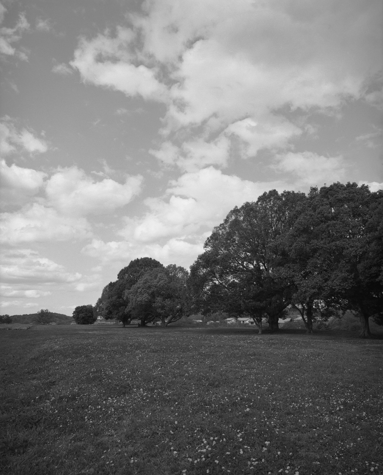 川原寺跡の風景2