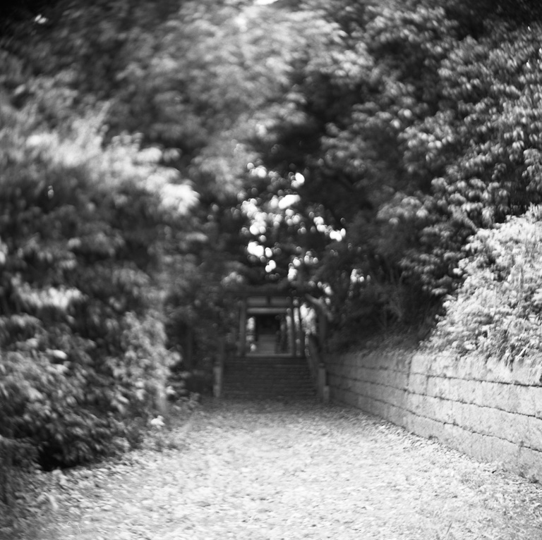 レンズの不具合