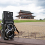 奈良県奈良市の平城京跡地公園に行って写真撮影をしてきた