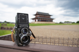 奈良県奈良市の平城京跡地公園に行って写真撮影をしてきた