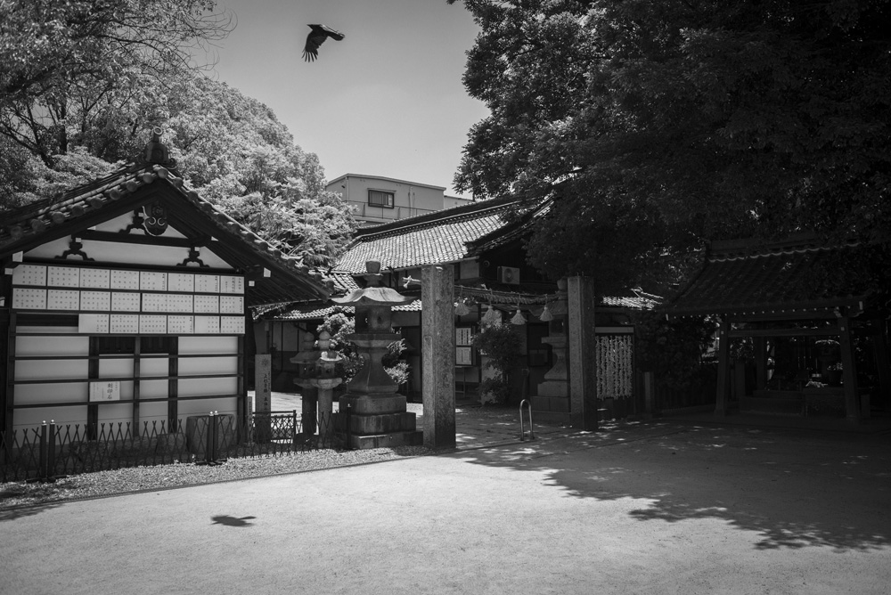 八劔神社境内の景色1