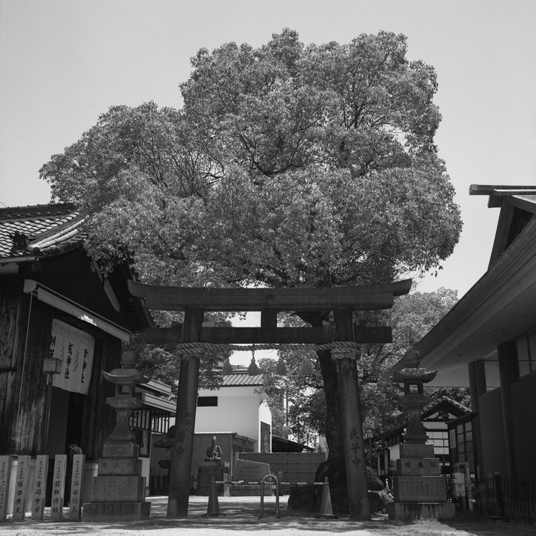 八劔神社の裏の鳥居