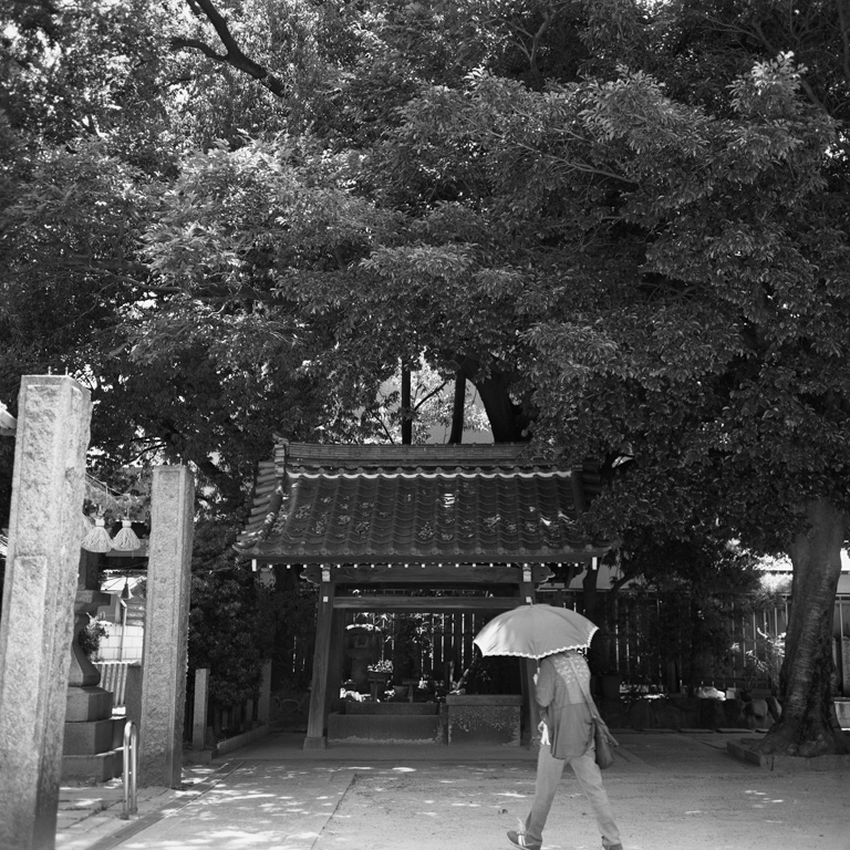 八劔神社境内の景色2