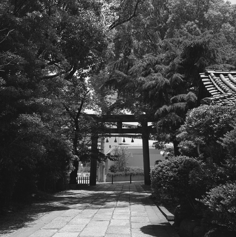 八劔神社境内の景色3