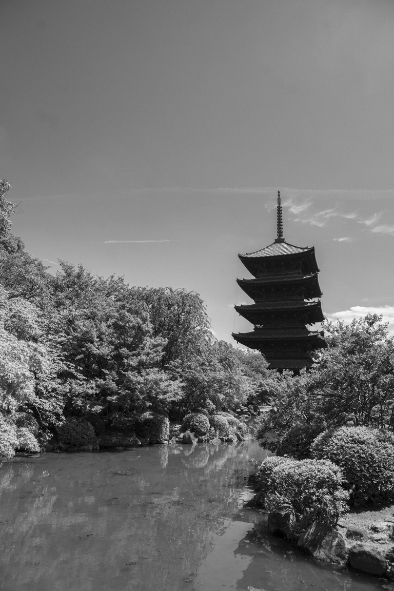 東寺の5重の塔と池