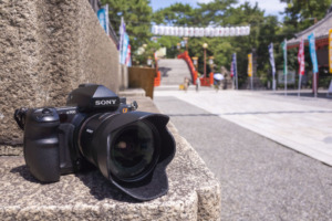 大阪の住吉大社にカメラを持って写真撮影に行ってきた