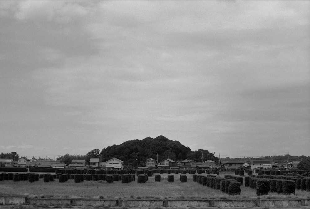 第二次大極殿跡の北側