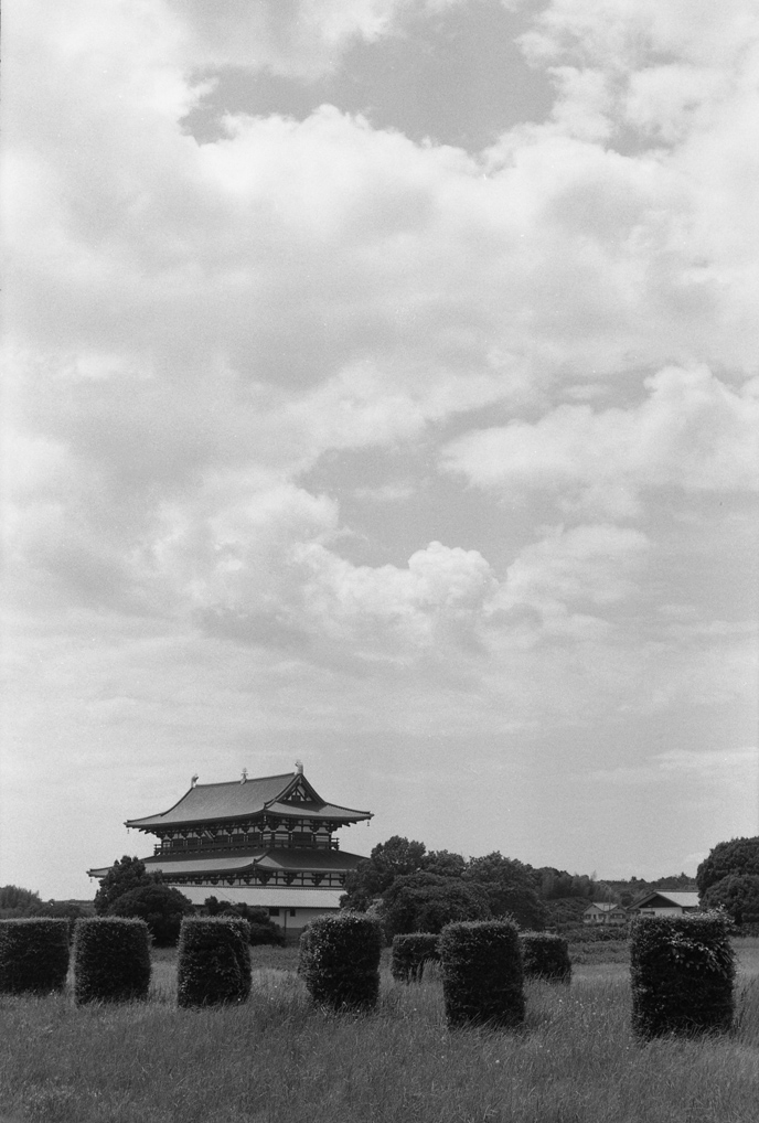 太極殿の見える風景