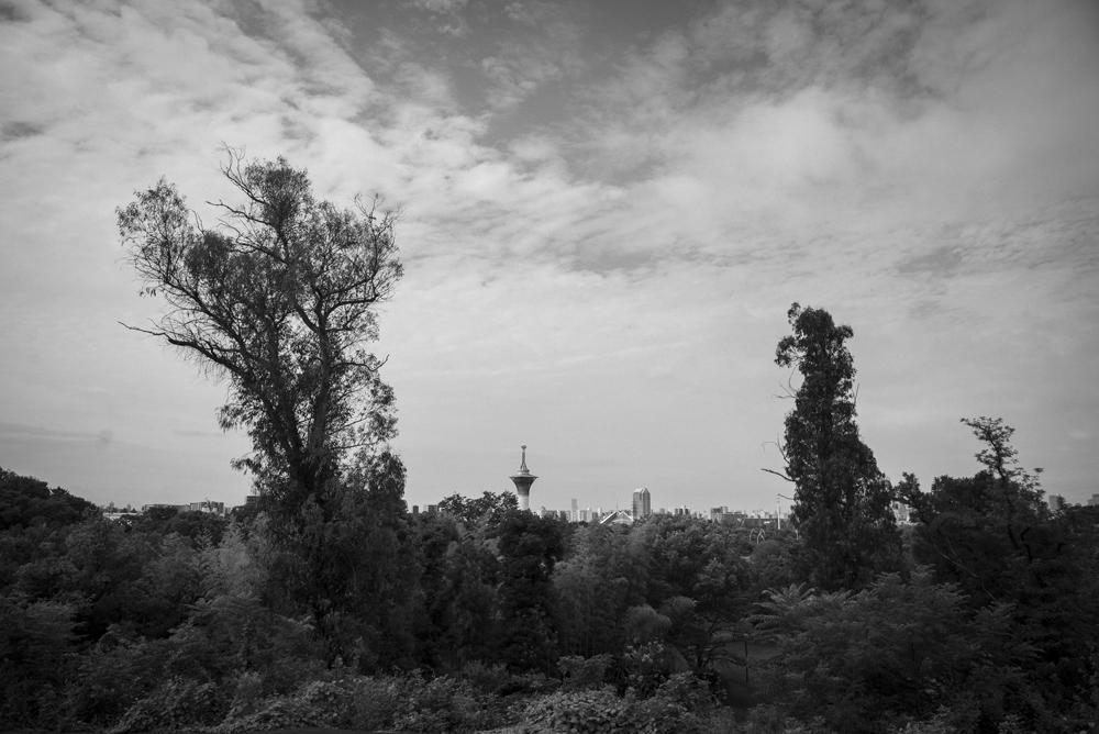 鶴見緑地公園の風景1