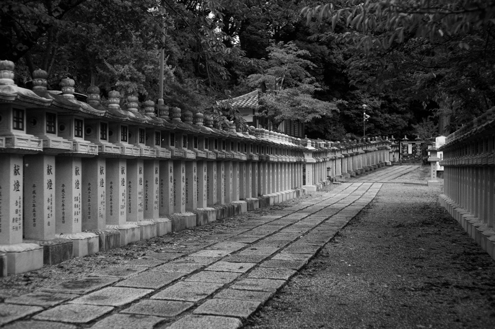 安倍文殊院の境内の景色1