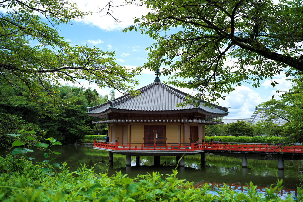 安倍文殊院の金閣浮御堂