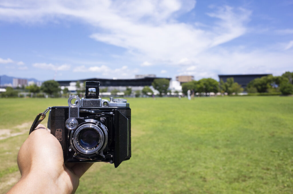 京都市の梅小路公園に夏の暑い中でカメラを持って撮影に行ってきた