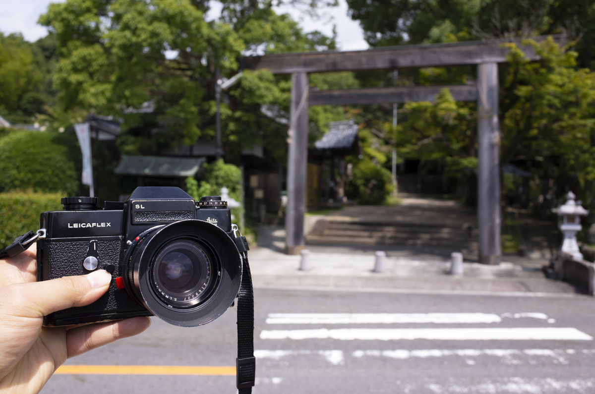 奈良県桜井市の等彌神社の境内を歩き写真を撮影してきた
