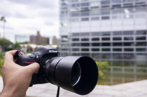 咲くやこの花館へ行ってきた、2022年8月の旬の植物や花を撮影