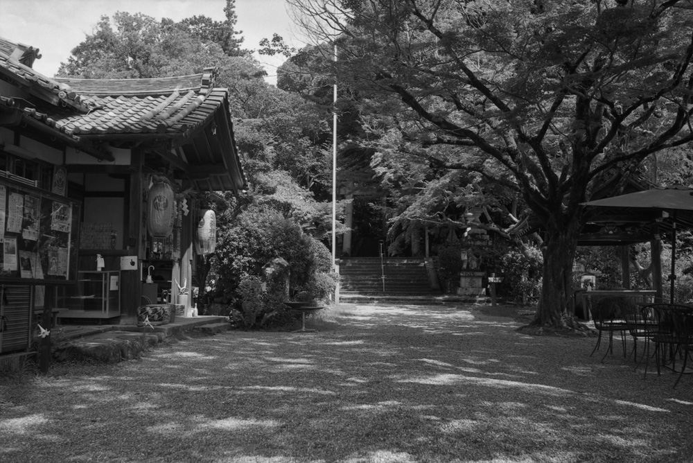 等彌神社の境内