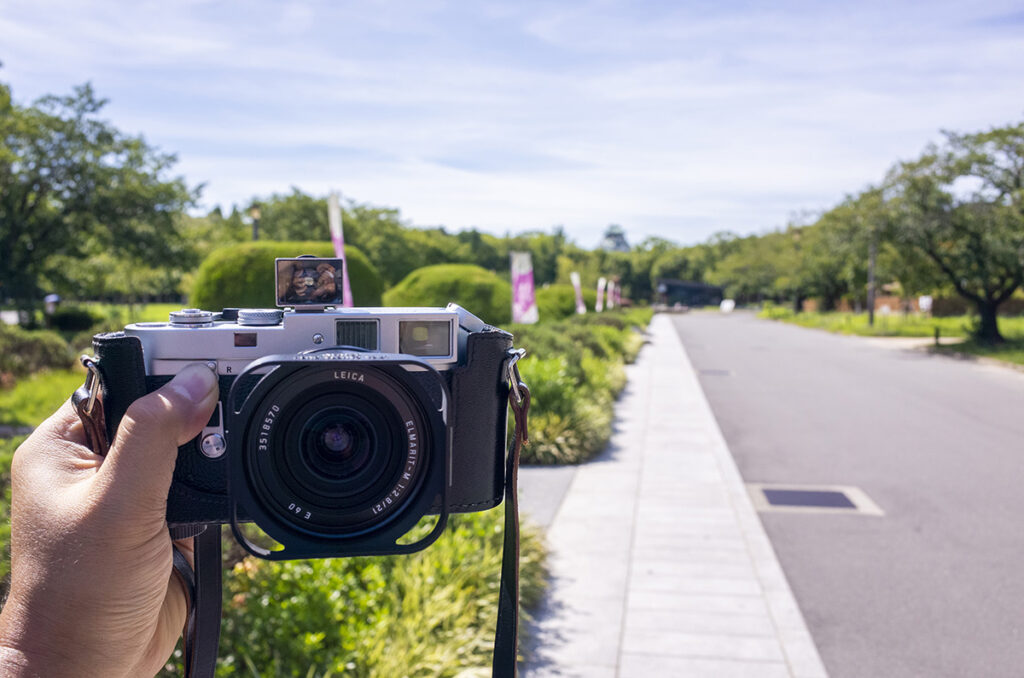 大阪城公園でライカM4に超広角レンズを付けて散歩写真してきた