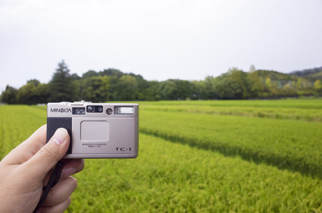 奈良の西殿塚古墳（衾田陵）周辺に行って写真撮影をしてきた