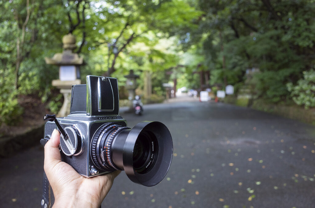 石上神宮のアヒルは何だろう！！奈良県の石上神宮へ行ってきた