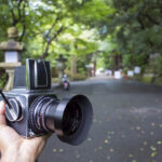 石上神宮のアヒルは何だろう!!奈良県の石上神宮へ行ってきた