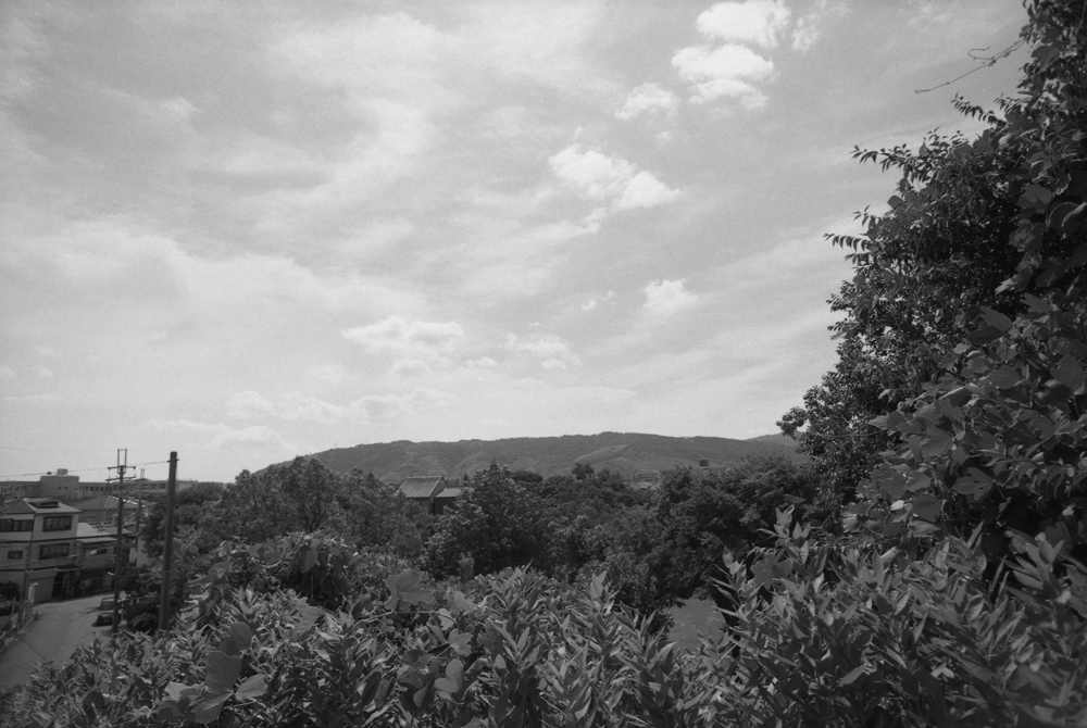 公園の高所から見る風景