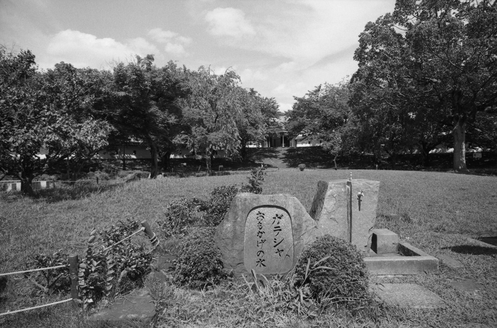 ガラシャのおもかげの水