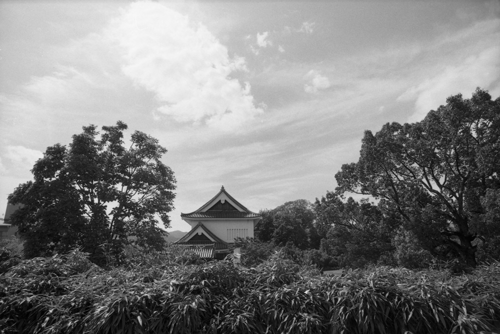 勝竜寺城公園内の風景2