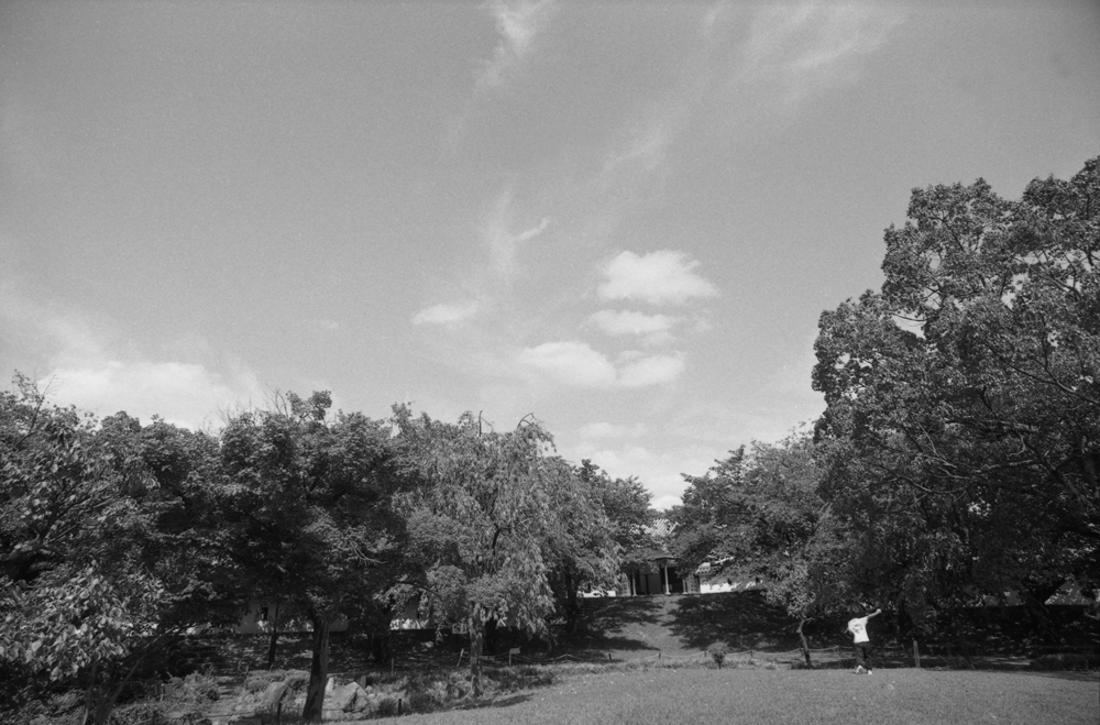 勝竜寺城公園内の風景3