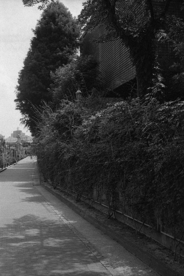 川沿いの道