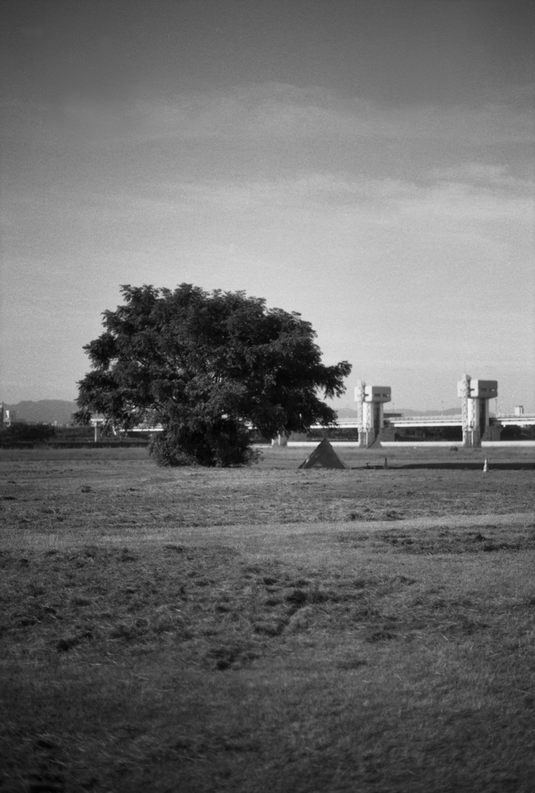淀川河川敷の風景