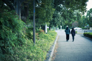 近くの公園でマクロレンズを使って植物を接写撮影してきた