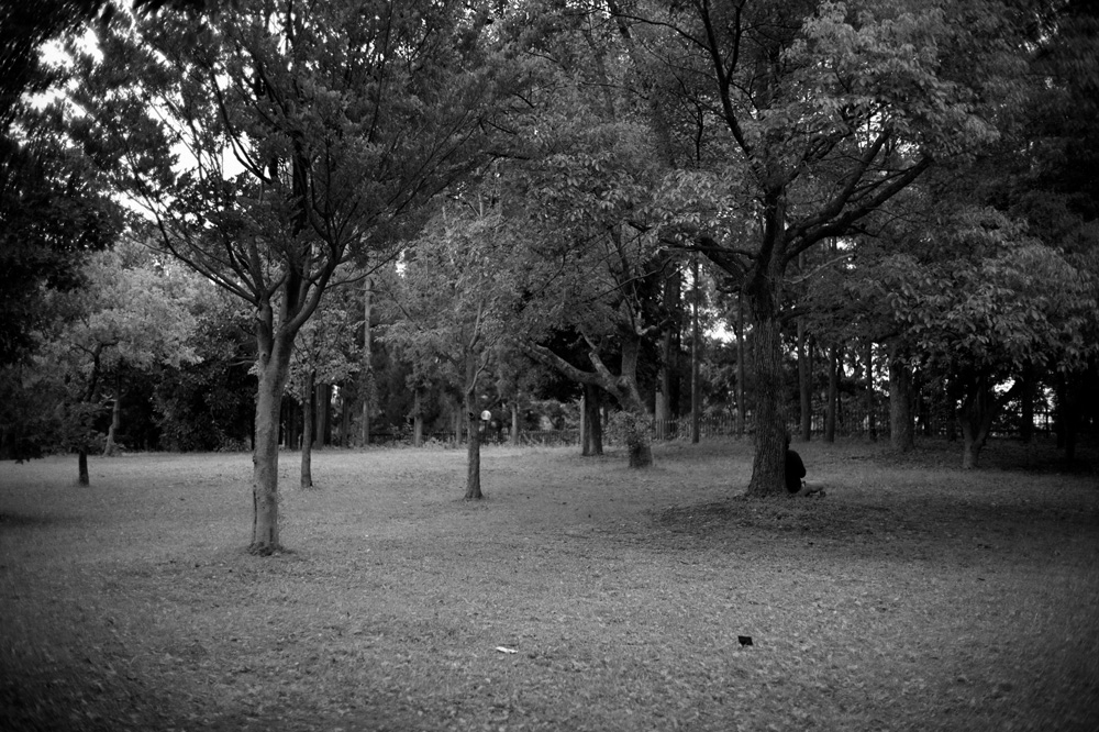 鶴見緑地公園内の林