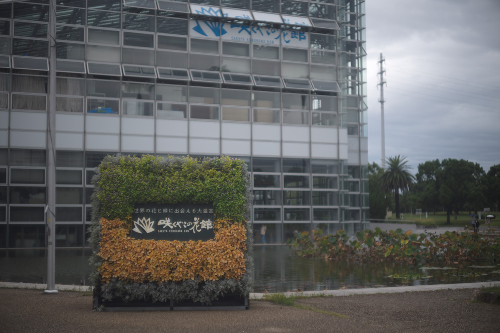 咲くやこの花館の前