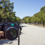 Mamiya7IIを持って奈良県橿原市の橿原神宮に撮影に行ってきた