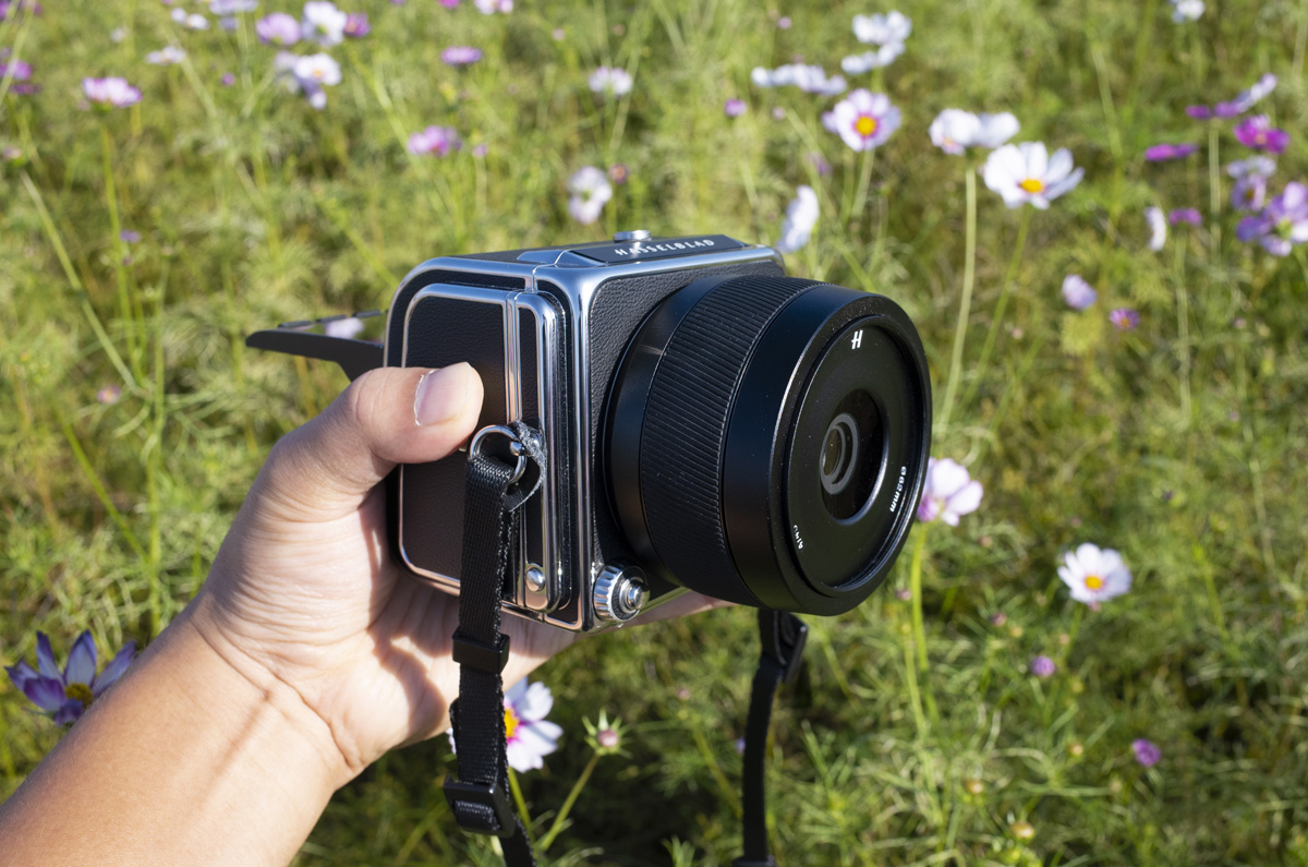Hasselblad907X