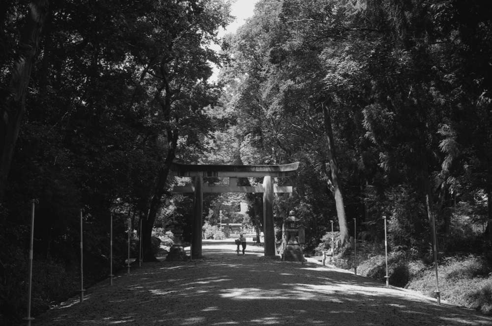 大和神社の参道