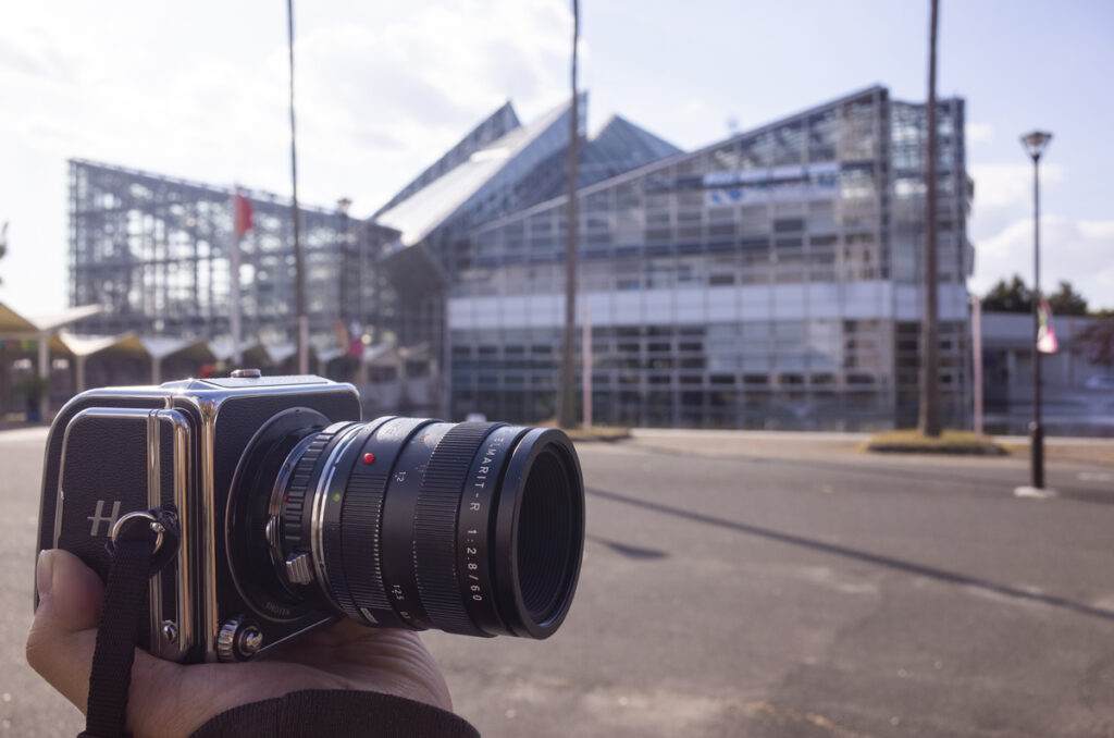 咲くやこの花館へ行ってきた、2022年11月の旬の植物や花を撮影