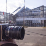 咲くやこの花館へ行ってきた、2022年11月の旬の植物や花を撮影