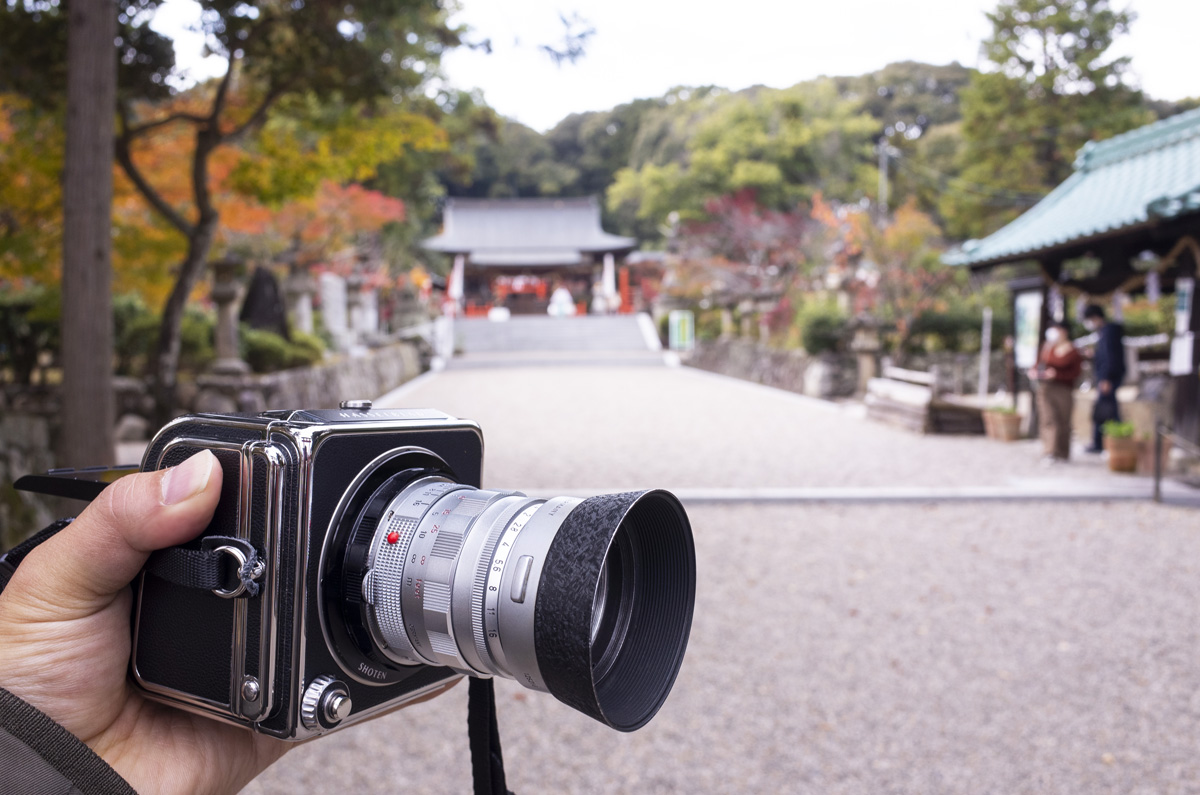 奈良県生駒郡三郷町の龍田大社に紅葉を撮影しに行ってきた