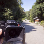 第ニ代天皇綏靖天皇の御陵である桃花鳥田丘上陵に行ってきた