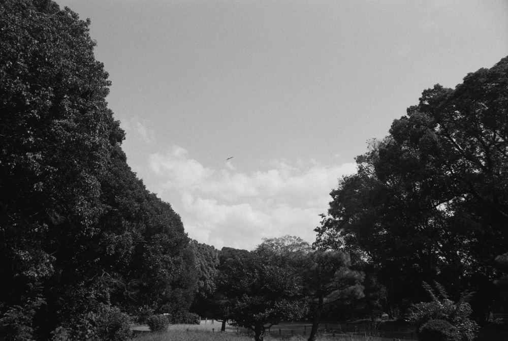 桃花鳥田丘上陵5