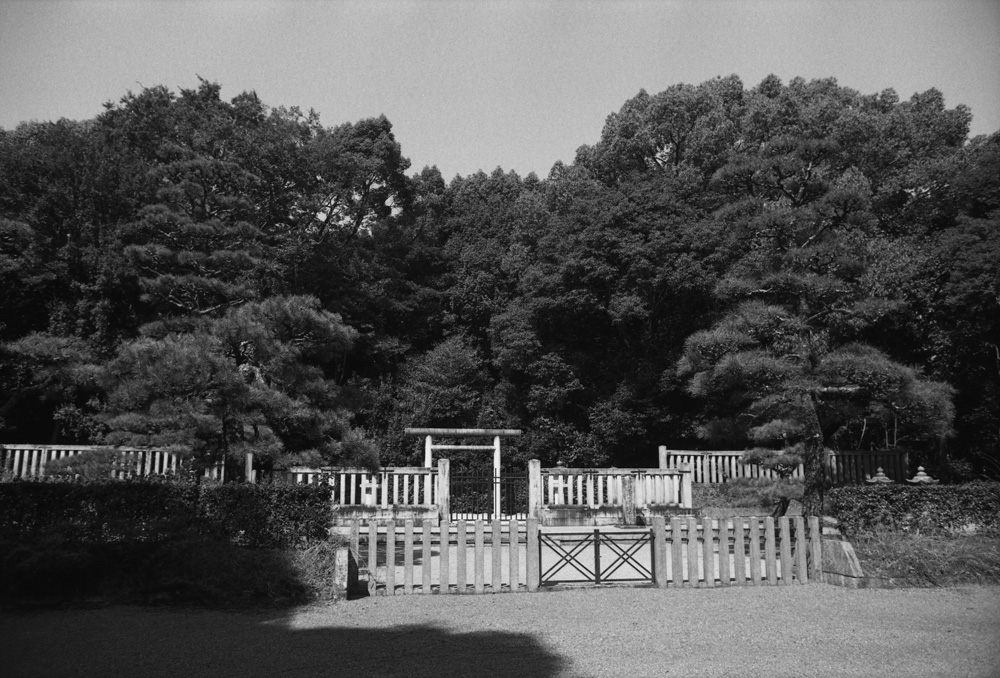 桃花鳥田丘上陵2