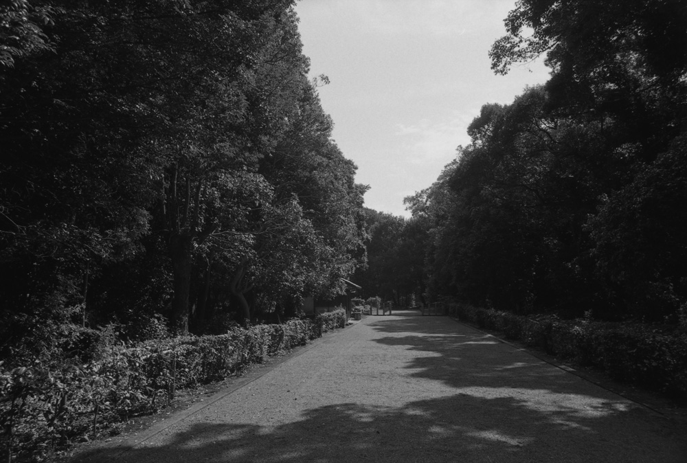 桃花鳥田丘上陵4