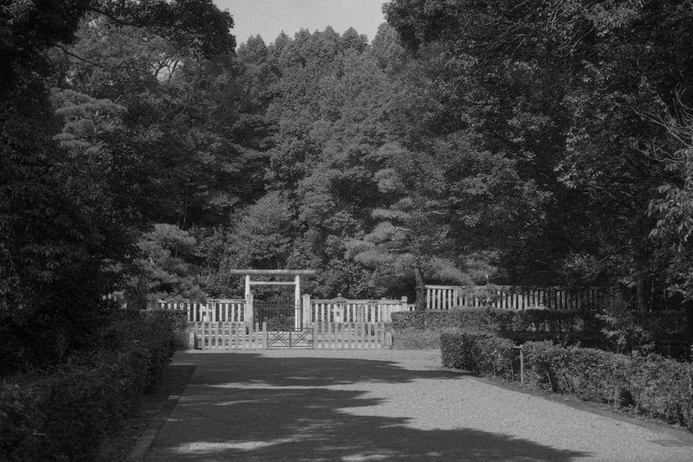 桃花鳥田丘上陵1