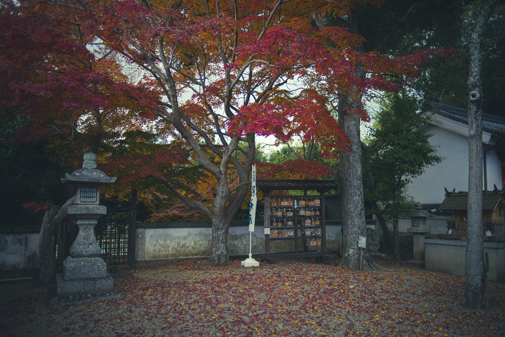 南都鏡神社の境内2